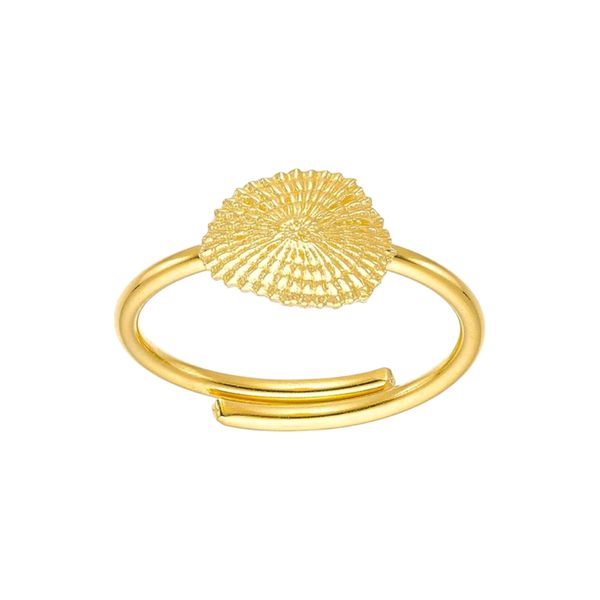 1. Anello regolabile “patella di mare” oro BRASS Workshop dsd28