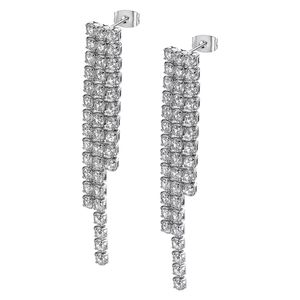 1. Earrings LS2573 steel gray