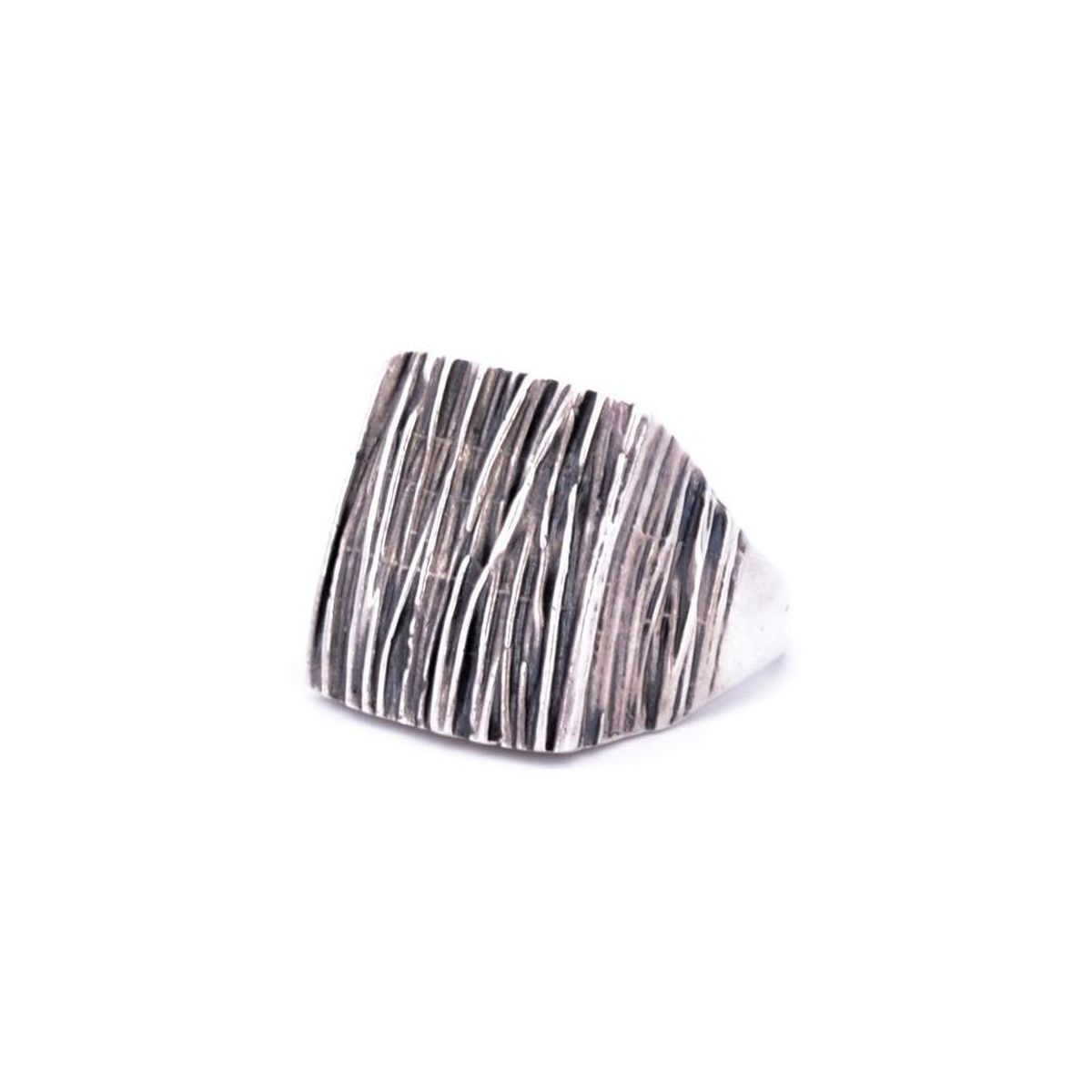 1. Baobab, silver ring Silver gray BRASS Workshop brsaa04