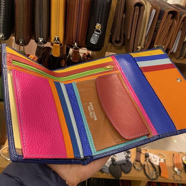 2. Multicolored internal wallets blue BRASS Workshop d-8283