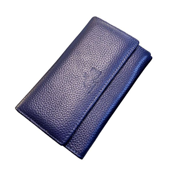 1. Multicolored internal wallets blue BRASS Workshop d-8283
