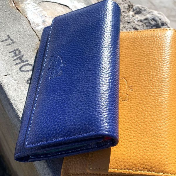 3. Multicolored internal wallets blue BRASS Workshop d-8283