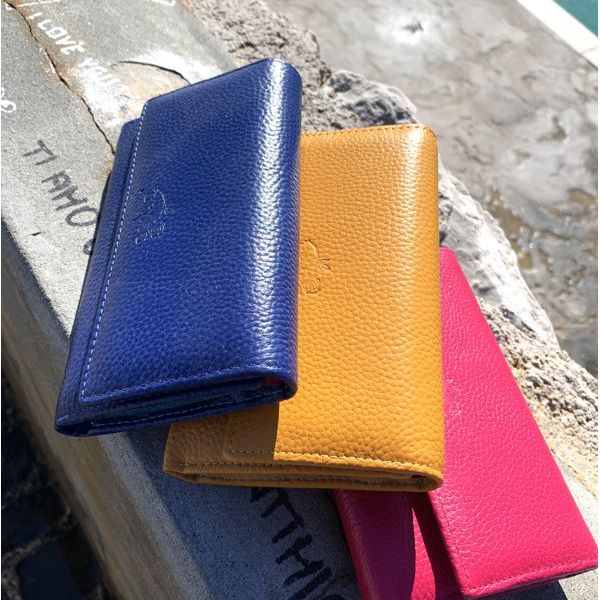 3. Multicolored internal wallets mustard BRASS Workshop d-8283