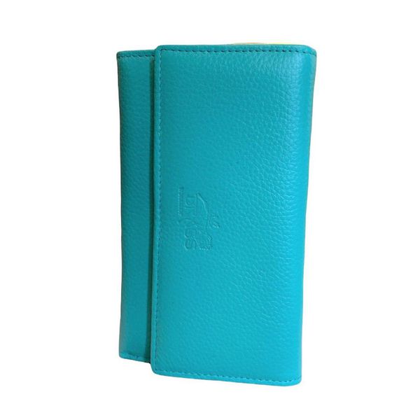 1. Multicolored internal wallets light blu
