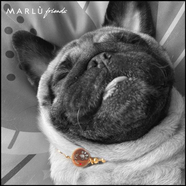 1. Collar for your furry friend steel Marlù Gioielli 15co013
