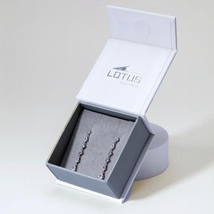 2. Orecchini LP3622 grigio argento