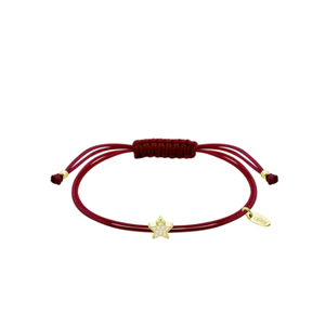Bracciale LP3753-2/2 bordeaux LOTUS Silver