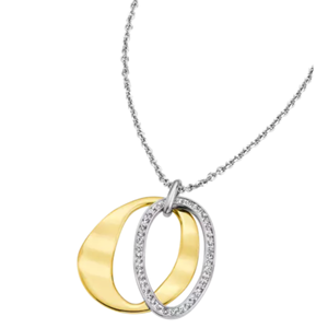 Collana LS1672-1/2 grigio-oro LOTUS Style