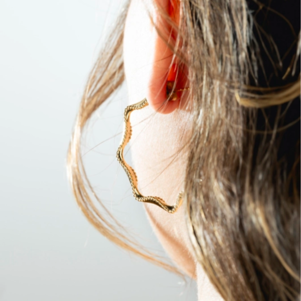 2. Earrings LS2352-4 gold LOTUS Style ls2352-4