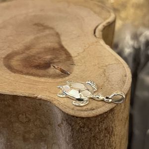 2. Sea Turtle Hanging silver grey BRASS Workshop 25pe31