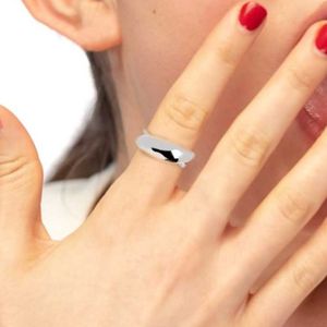 2. Anello doppia fascia grigio acciaio