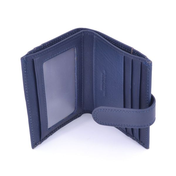 1. Portafogli e carte Blu